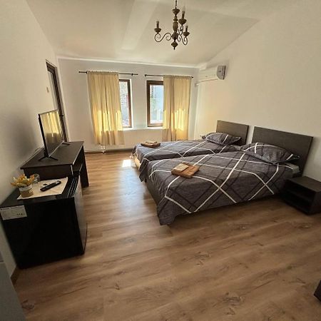 Alexander Residence Brăila エクステリア 写真