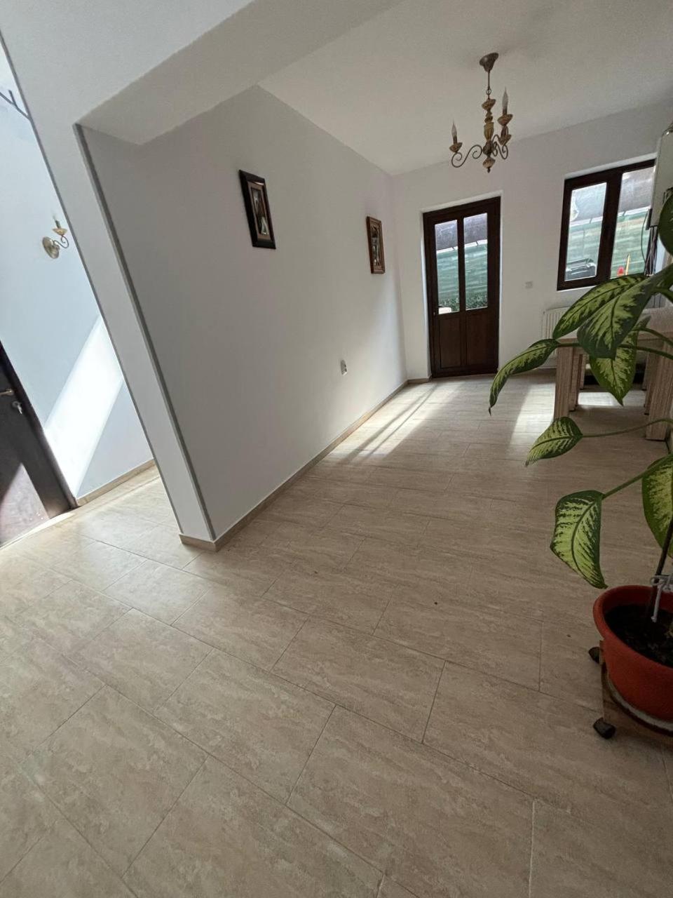 Alexander Residence Brăila エクステリア 写真