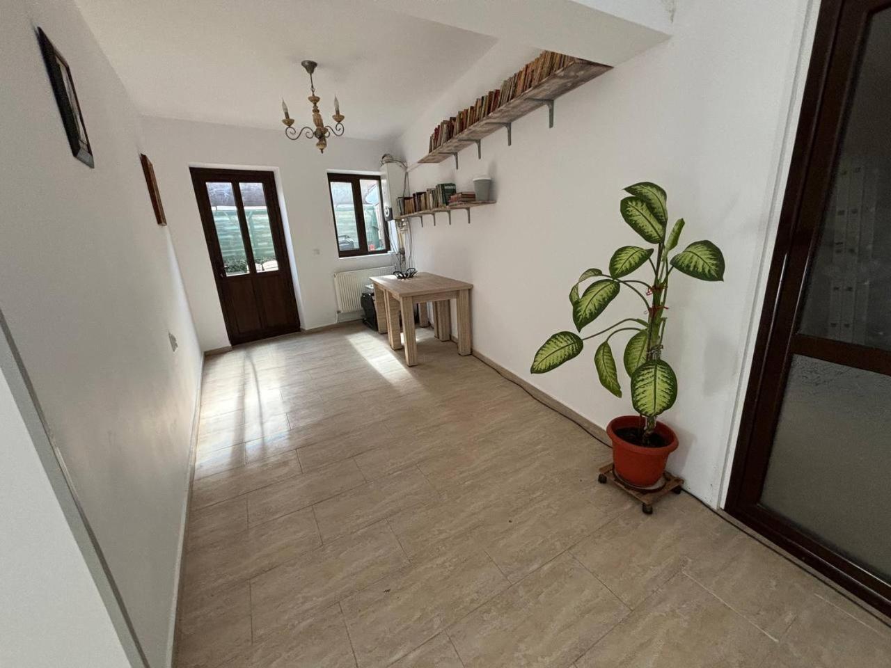 Alexander Residence Brăila エクステリア 写真